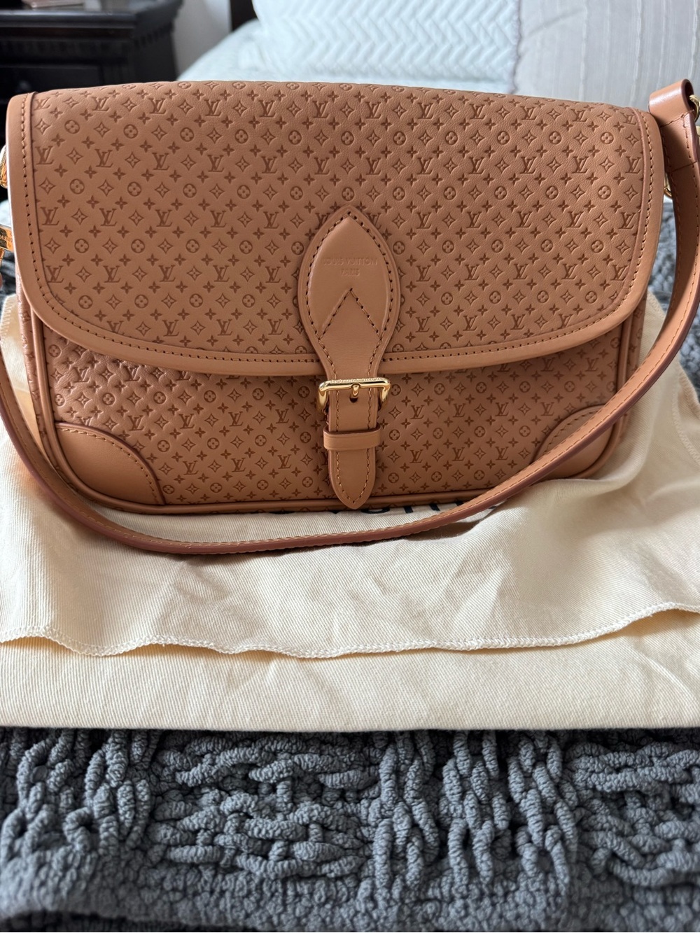 NWT Louis Vuitton Diane Hazelnut Mini Monogram  Leather Shoulder/Crossbody Bag - Picture 11 of 13